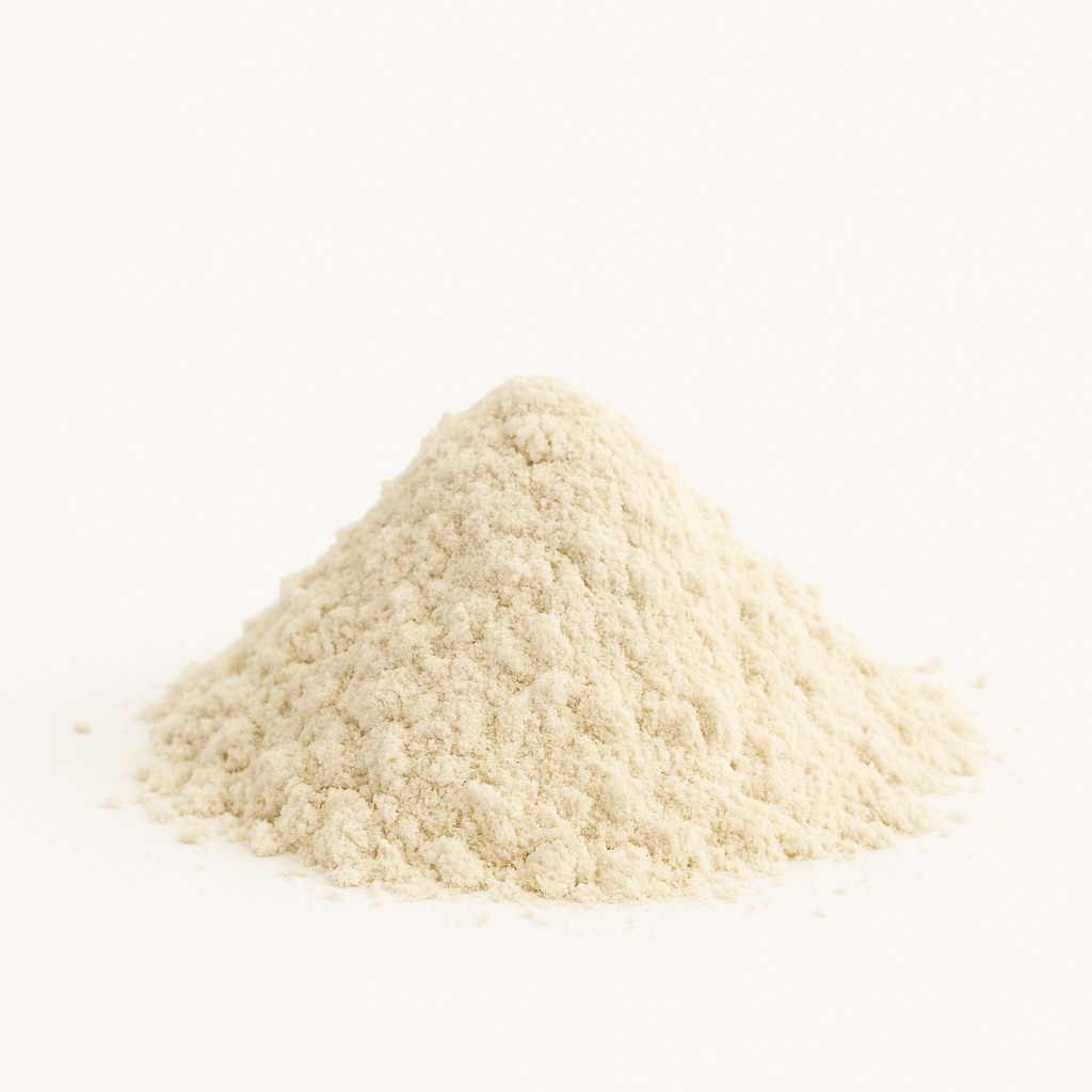 HONGO LIONS MANE (HONGO MELENA DE LEON)