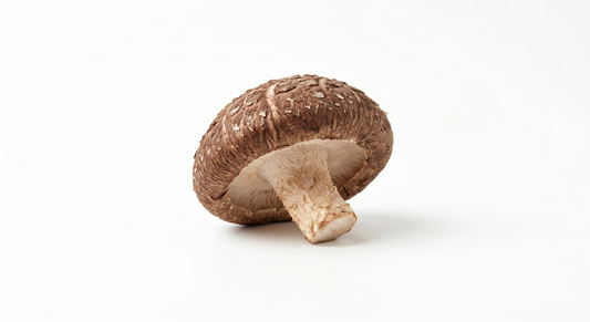 Hongo Shiitake Extracto 50%