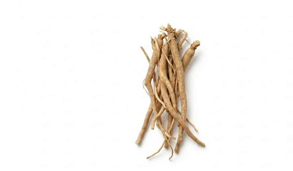 Ashwagandha Extracto 2.5%