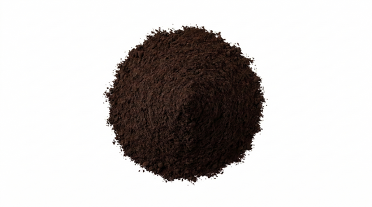 Hongo Reishi Extracto 50%