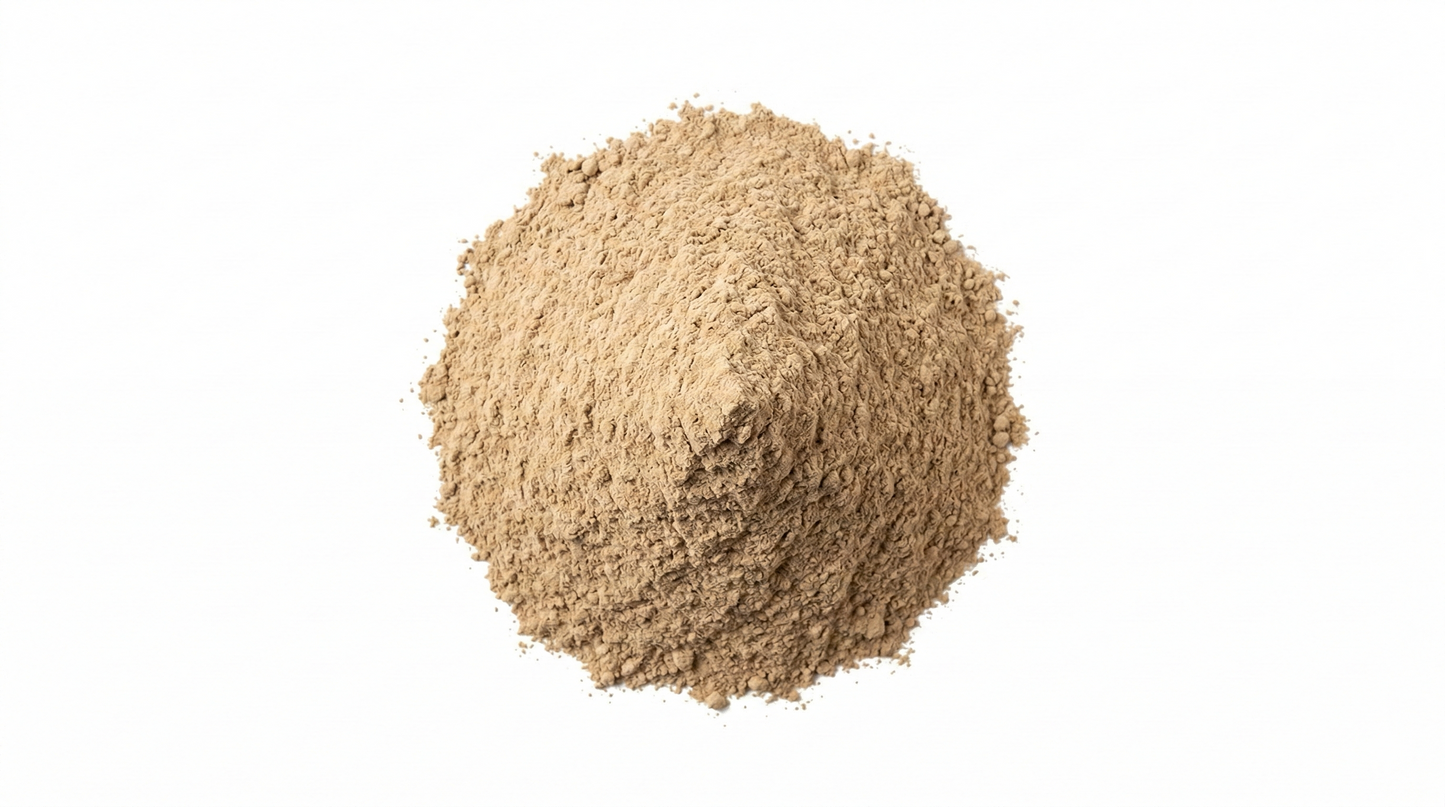 Hongo Shiitake Extracto 50%