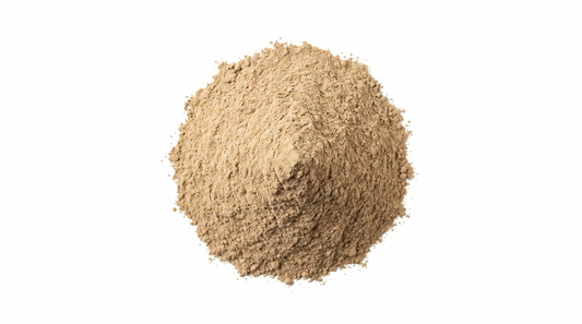 Hongo Shiitake Extracto 50%