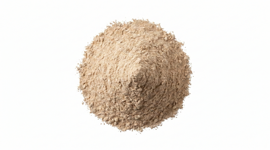 Hongo Melena de León Extracto 50%