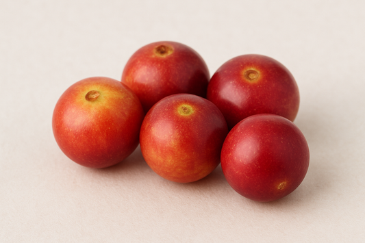 CAMU CAMU